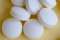 Potassium Cyanide Pills and powder 