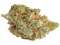 Marihuana sklep internetowy. - Cały Kraj