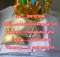 Crystal Meth/Amphetamine/Apvp/3mmc/4mmc